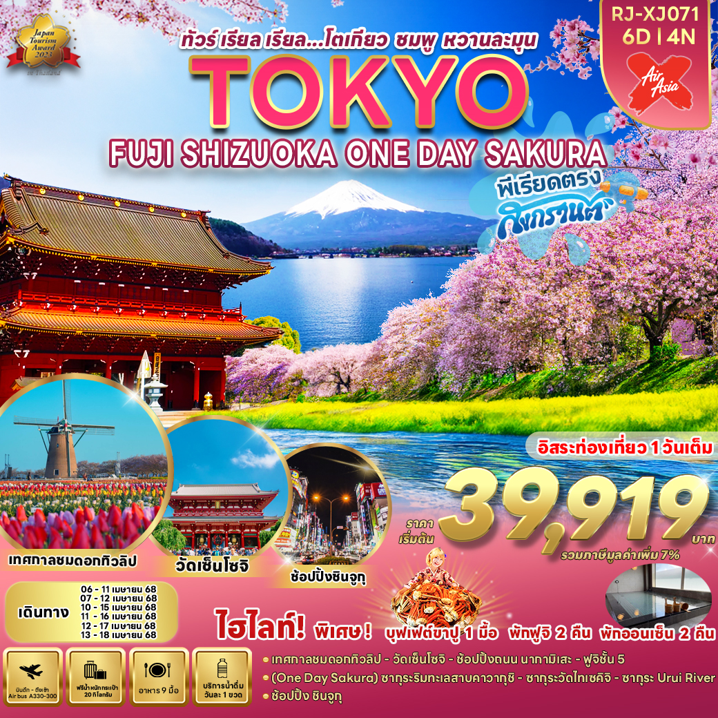 RJ-XJ071 TOKYO FUJI SHIZUOKA ONE DAY SAKURA 6D4N ทัวร์ เรียล เรียล...โตเกียว ชมพู หวานละมุน