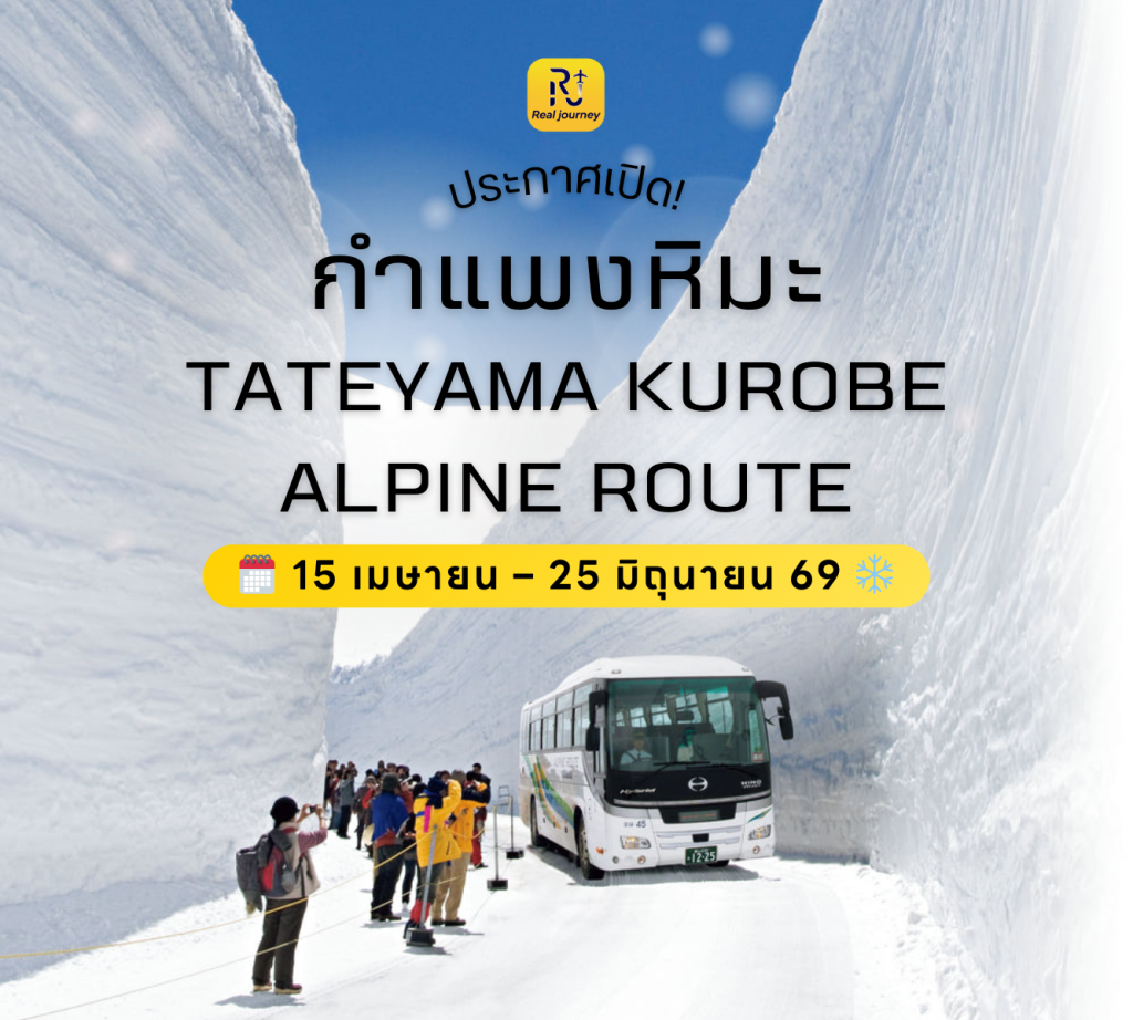 📣ประกาศเปิดฤดูกาลกำแพงหิมะ Japan Alps 2026